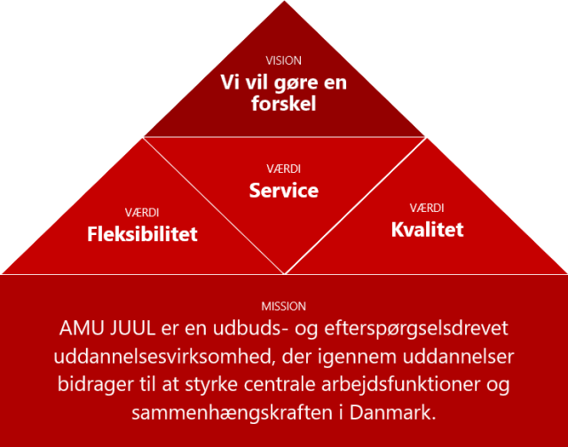 Vision: Vi vil gøre en forskel
